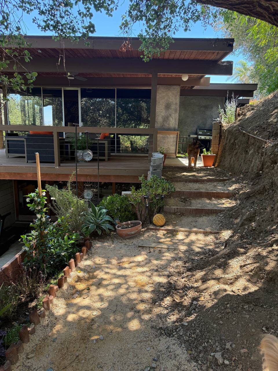 Garden path leading to the house