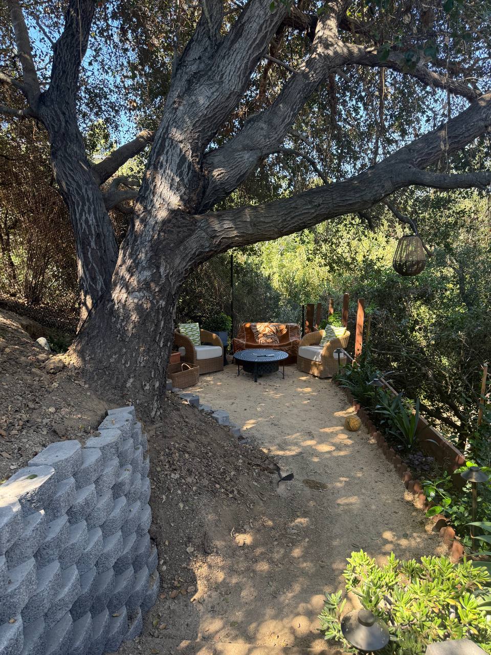 Outdoor seating under a mature tree